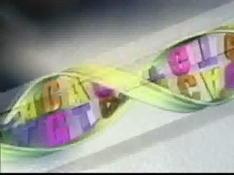 Una compañía de EEUU ofrece un estudio de ADN por menos de 700 euros