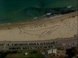 Miles de australianos protestan contra la caza de ballenas
