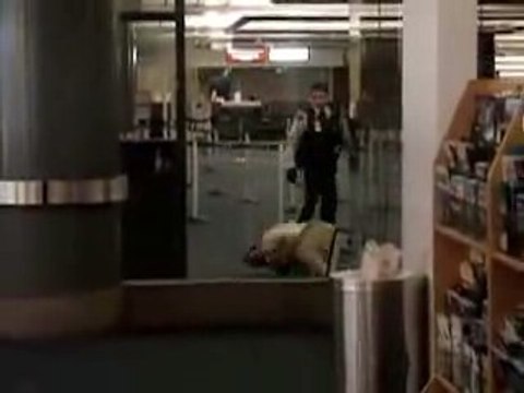 Muerte a descargas en un aeropuerto de Canadá