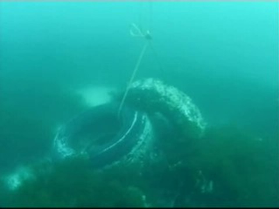 Buzos limpian por primera vez el fondo de las islas Cíes