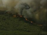 Arden miles de hectáreas de monte en Nueva Gales del Sur (Australia)