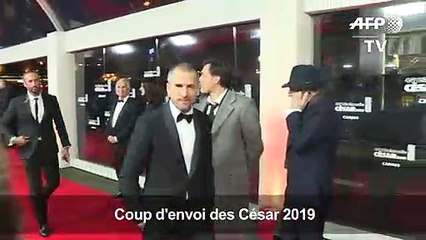 César 2019: arrivées sur le tapis rouge