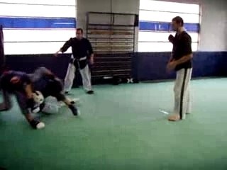 yoseikan-budo  (lyon)