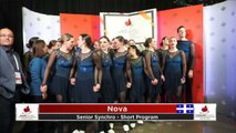 Championnats de patinage synchronisé 2019 de Patinage Canada (3)
