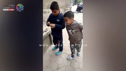 الرحمة مش بالسن ولا التعليم.. أطفال يطعمون كلاب الشوارع