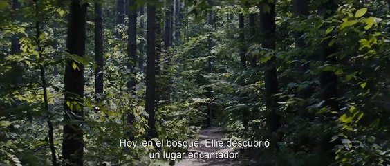 CEMENTERIO DE ANIMALES  Tráiler 2 subtitulado (HD)