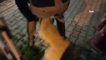 Silivri'de haftalarca aç bırakılan köpek ölmek üzereyken bulundu