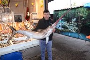 Marmara'da Yakalanan 80 Kiloluk Kılıç Balığı, 2 Bin 800 Liraya Satıldı