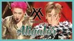 [ComeBack Stage] MONSTA X - Alligator, 몬스타엑스 - Alligator Show Music core 20190223