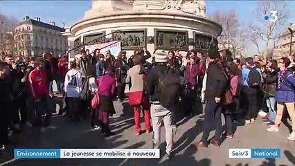 Environnement : la jeunesse se mobilise à nouveau autour de Greta Thunberg