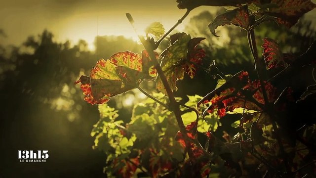 Mouche bleue, statue vivante, freerunner, petits Poulbots, paillettes... : à la (re)découverte de la butte Montmartre