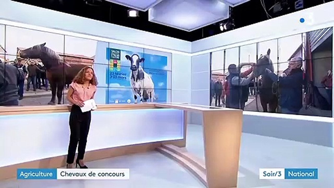 Doubs : des chevaux comtois en route pour le Sa...