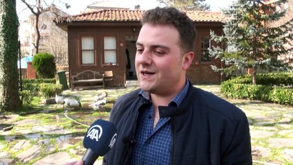 Kazlar 'yol arkadaşı' oldu - BARTIN