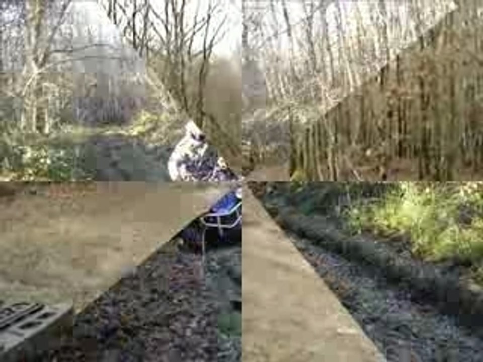Quad dans les bois