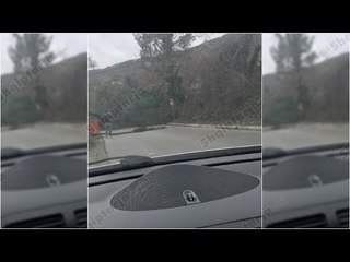 Bie pema në mes të rurgës, shpëtojnë mrekullisht personat brenda makinës