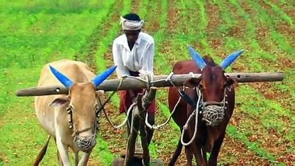 Uttar Pradesh Budget 2019 highlights, Free WiFi, Old Age and Farmers Pension Scheme, Ayodhya Airport