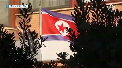 “조성길 딸, 부모 증오…납치 아닌 자발적 귀국”