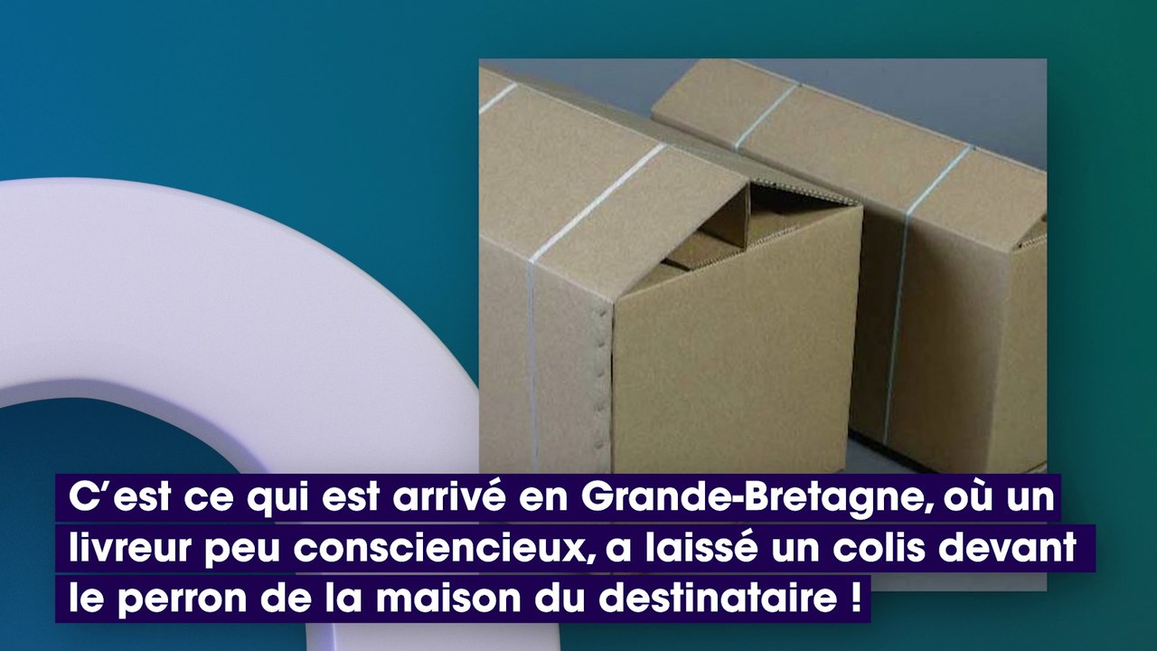 Un chien ouvre un colis destiné aux voisins et le contenu est extrêmement gênant