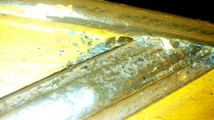 Bedbugs video . Vidéo punaises.