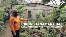 Melihat Lorong Tanaman Obat Keluarga di Kebayoran Lama