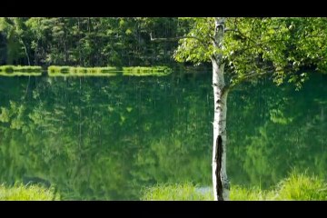 ニッポン印象派　御射鹿池