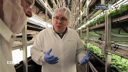 Dans la plus grande ferme verticale et urbaine du monde près de New York : un rêve ou un cauchemar pour le futur ?