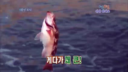 대구출장안마 -미인100%ョØ1Øg2997g5327〔카톡DDR88〕대구전지역출장마사지대구출장nk안마og대구출장마사지황형どなに호텔콜걸미인아가씨