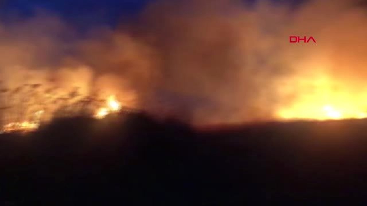 Bursa'nın İznik İlçesinde Sazlık Yangını