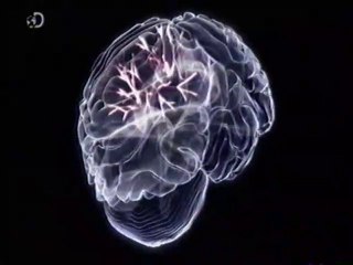 Descubre cómo Jason Padgett, con sinestesia, se convirtió en un genio matemático tras un ataque 🚶‍♂️