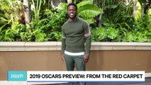 2019 Oscars Preview: From the Red Carpet