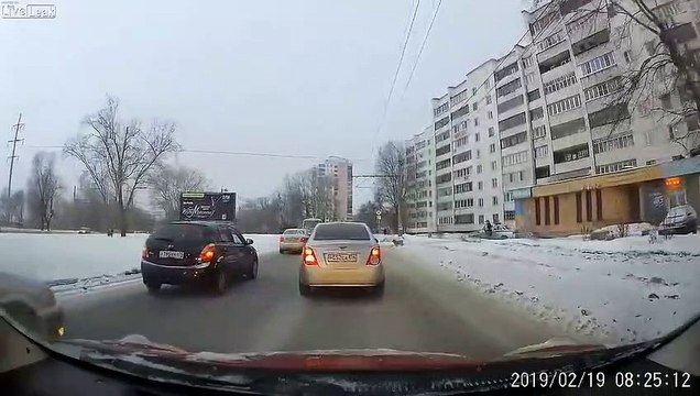 Cette policière aide un chien à traverser la route en stoppant les voitures !