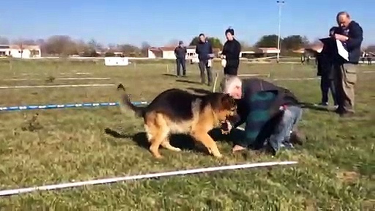 Championnat de France de chiens truffiers à Les Gonds : Gost et André Bost