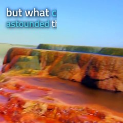 A farmar made an extra ordinary discovery while drilling for water