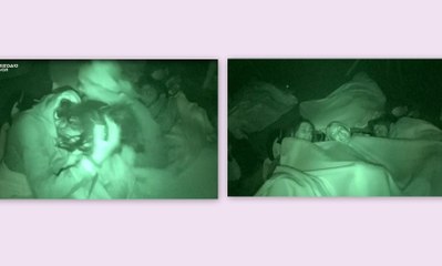 Survivor: Τα ουρλιαχτά και η εισβολή ερπετών στην… καλύβα