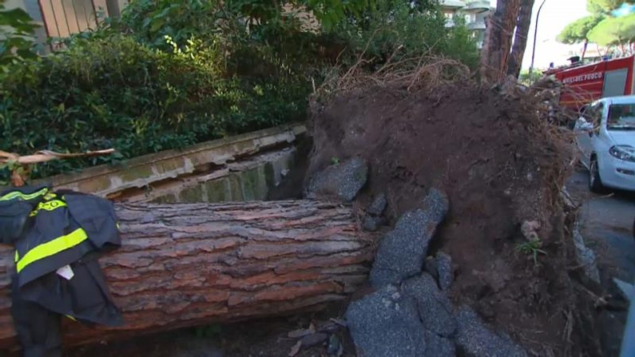 4 Tote durch extreme Winde in Italien - Vater stürzt auf Sohn