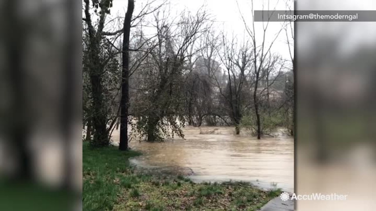 Backyard floods amid heavy rainfall