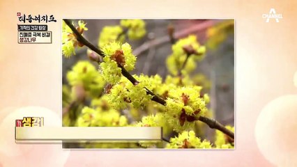 탄광에서 얻은 진폐증을 극복하게 한 고수만의 비밀 건강수(水)가 있다?!