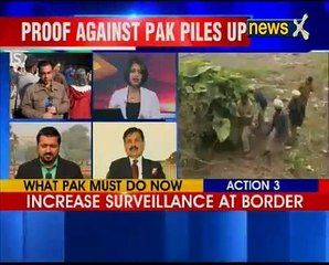 Download Video: Union Minister Mukhtar Abbas Naqvi speaks about Pathankot Terror attack