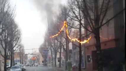 전깃줄에 화재...순찰 중 경찰관이 신속 대처 / YTN