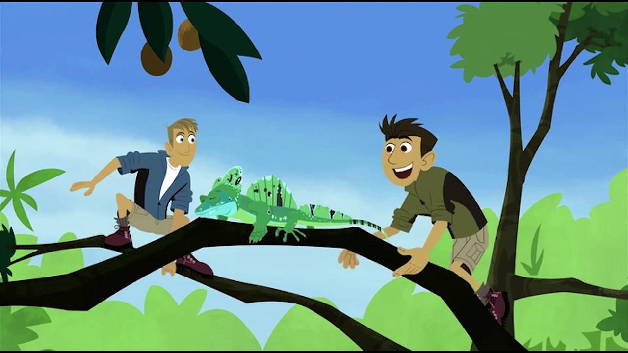 Wild Kratts Animals Make a Splash Kids Videos video Dailymotion