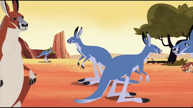 Wild Kratts Kangaroos and Koalas Kids Videos