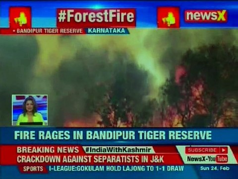 Karnataka: Major Fire Breaks Out Near Tourist Area at Bandipur Tiger Reserve