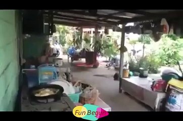 funny clips funny videos 2019 must watch