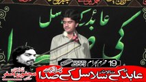 Zakir Syed Wadood Hussain Sial kot 19th Muhram 1440(2018) Choti Behak Hafizabad