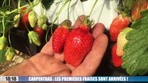ouverture fb  - fraises carpentras