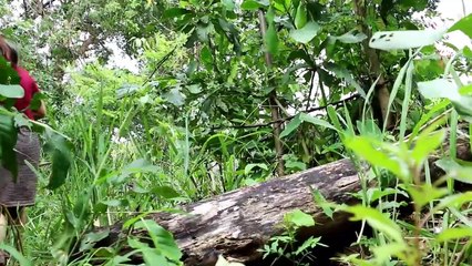 nehirde karides yakalamak ve ızgara da pişirmek