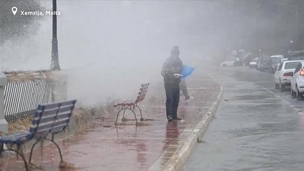 It's 'raining fish' in Malta after storm brings high waves
