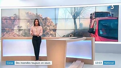 Incendies en Corse : le vent complique les interventions des pompiers