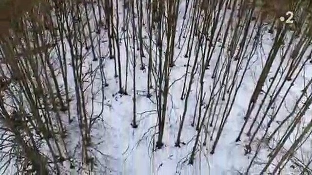 L'incroyable bug de France 2 hier soir en prime pendant la diffusion du documentaire Le plus beau pays du monde