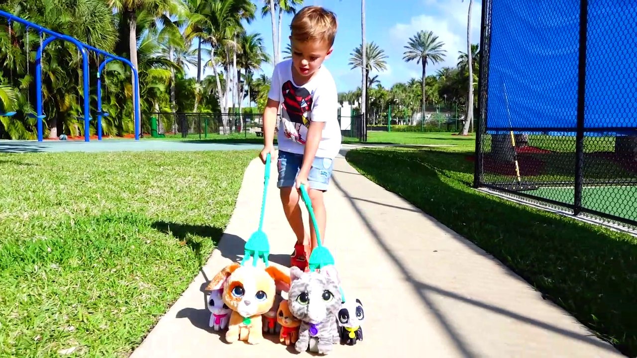 Vlad and Nikita play Hide and Seek with Toy Dogs on the Playground ...